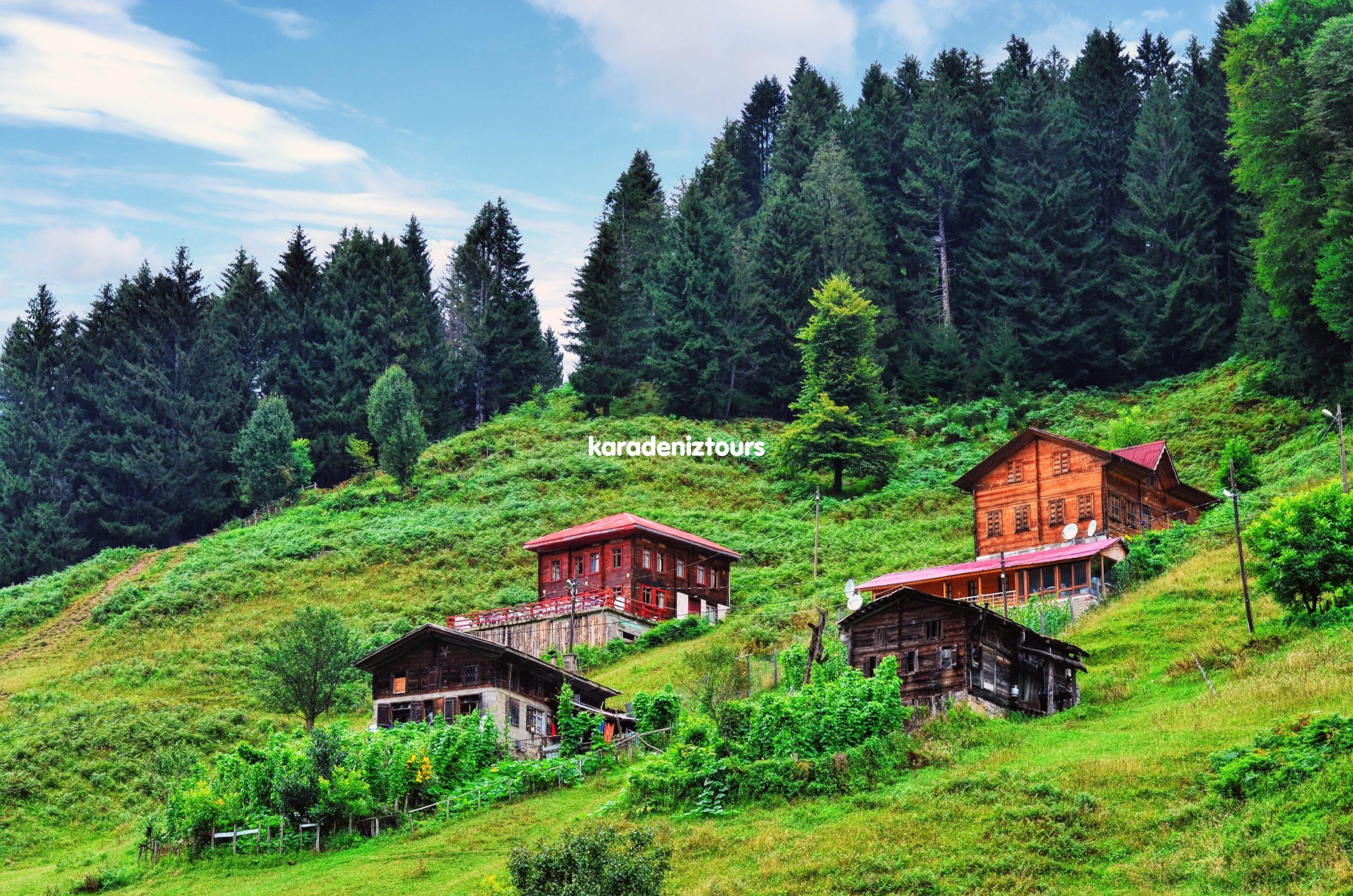 Ayder Yaylası Yol Tarifi 2025 | Rize-Artvin Havalimanı & Ulaşım Rehberi