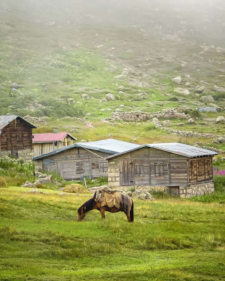 palovit yaylası ve palovit şelalesi vadisi – rize turları
