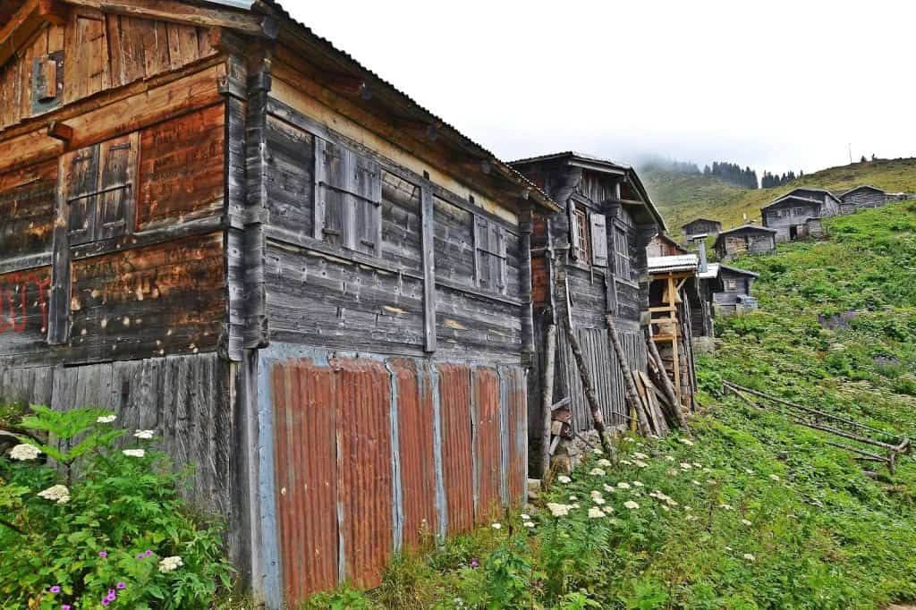 Hazindak Yaylası çiçek tarlaları – Rize yaylaları rehberi