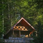 Rize kiralık bungalov dış görünüm